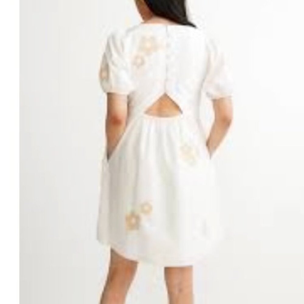 Madewell  Annamarie Embroidered Mini Dress